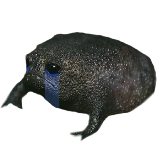 Sticker @perchatki_s - 9