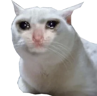 Sticker mustHavePack - 4