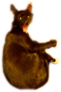 Sticker mustHavePack - 6