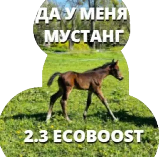 Стикер Mustang of Ukraine 🇺🇦 - 2