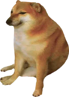 Sticker МАСТ ХЕВ (@nadzillas) - 1