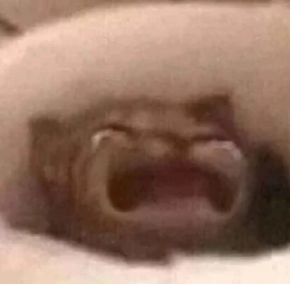 Sticker МАСТ ХЕВ (@nadzillas) - 8