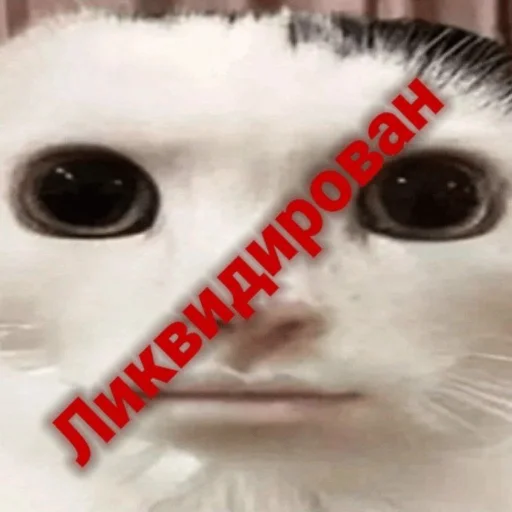 Ликвидировано - 