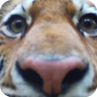 Sticker мужья - 6