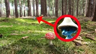 Стикер Больше стикеров: @sticerru - 2