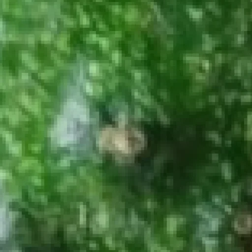 Стикер mxvVaQXHt_by_stickers_stealer_bot - 1