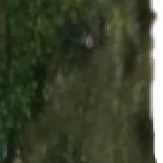 Sticker Больше стикеров 👉🏻 @stickertg4 - 9