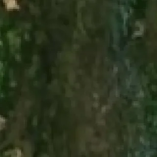 Sticker Больше стикеров 👉🏻 @stickertg4 - 1