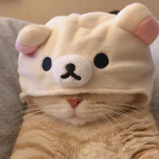 млекопитающее игрушка мех