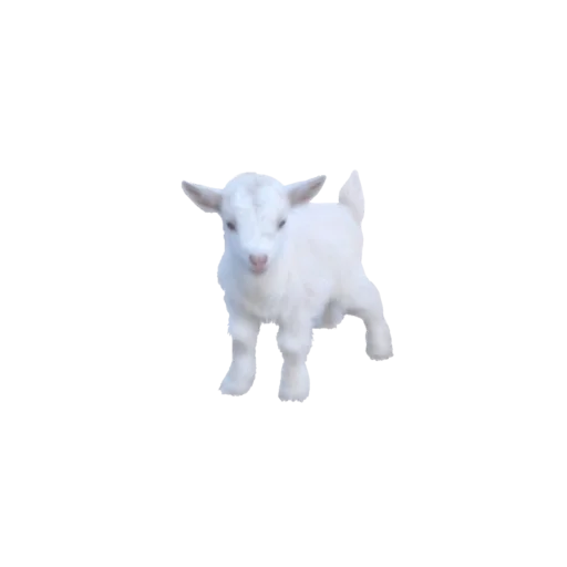 my aesthetic//;;напишу в октябре - 