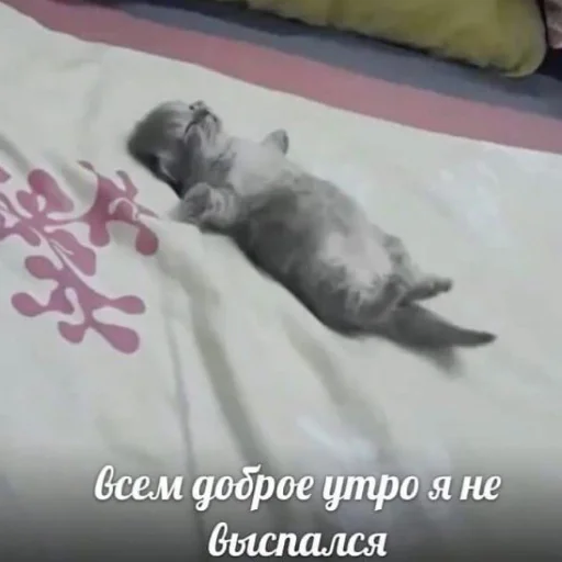 Sticker Весёлый пиздец - 9