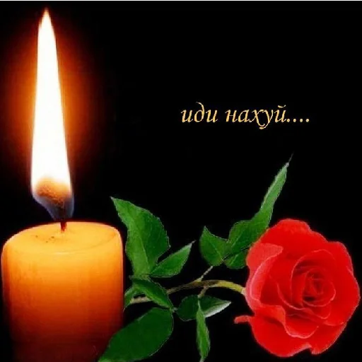 Sticker Весёлый пиздец - 4