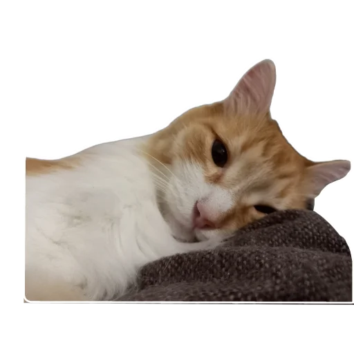 Стикер myanis8 - 1