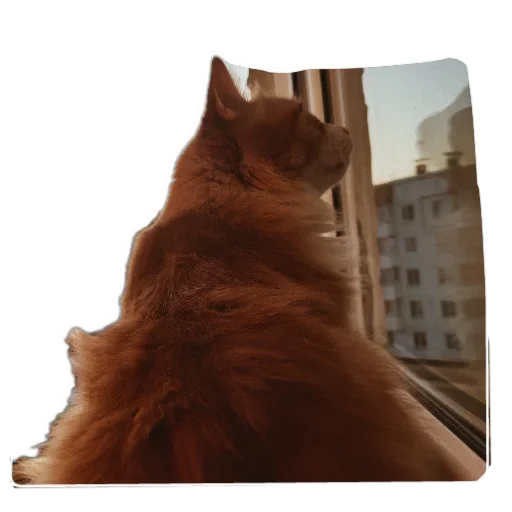 Стикер myanis8 - 1