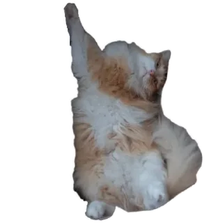 Sticker myani's - 10