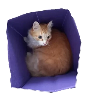 Sticker myani's - 11