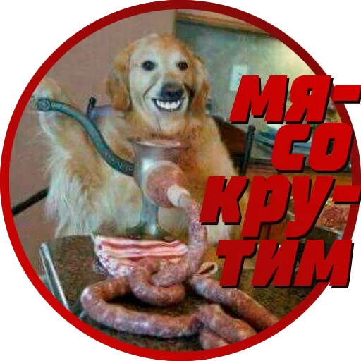 Стикер МЯСОКРУТКА FW'23 COLLECTION - 6