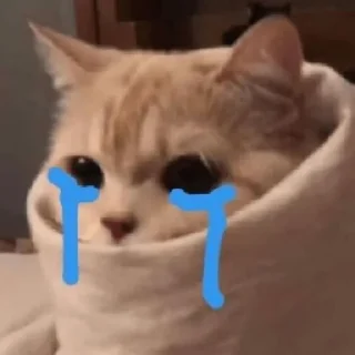 Стикер мяу - 5