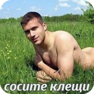 Sticker мяу¿♡? - 3