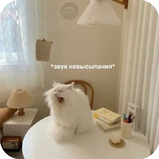 Стикер мяв - 7