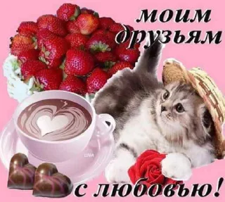 Стикер ня пока - 10