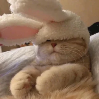 Стикер ня пока - 4