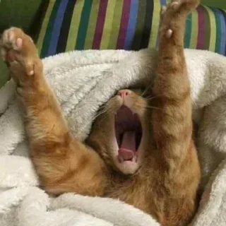 Стикер ня пока - 3