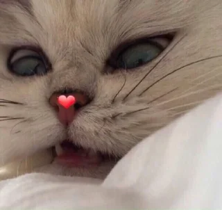 Стикер ня пока - 7