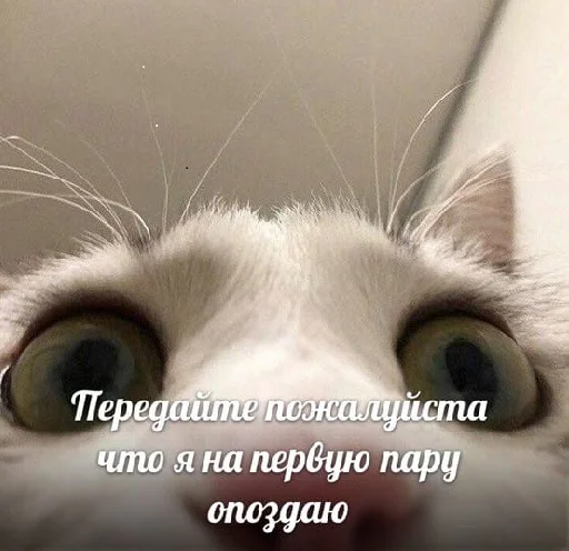 с днем дня! - 