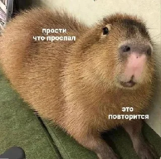 Sticker с днем дня! - 0