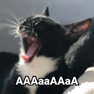 Sticker Дурында - 4