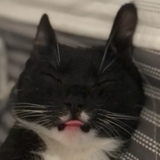 Sticker Дурында - 8