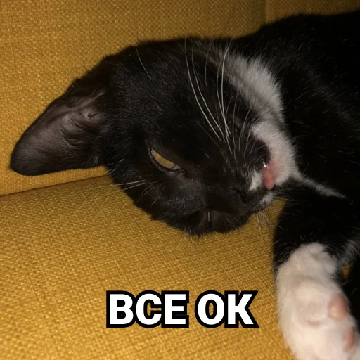 Sticker Дурында - 3