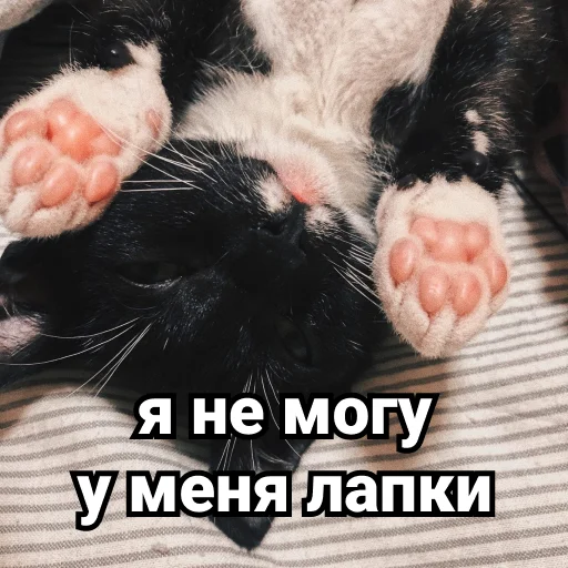 Sticker Дурында - 1