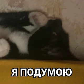 Sticker Дурында - 2