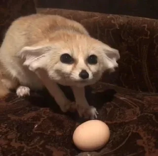 Sticker My Fetish 2: Electric Boogaloo - 9