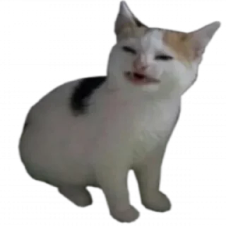 Sticker My Fetish 2: Electric Boogaloo - 7