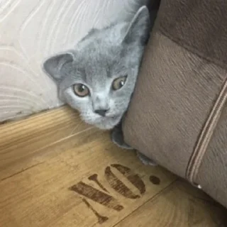 Sticker My Fetish 2: Electric Boogaloo - 1