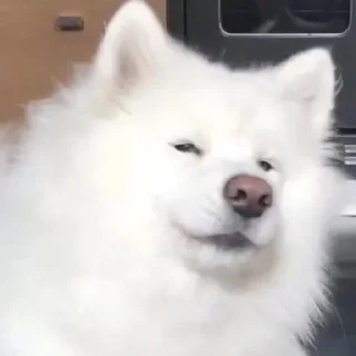 Sticker My Fetish 2: Electric Boogaloo - 3