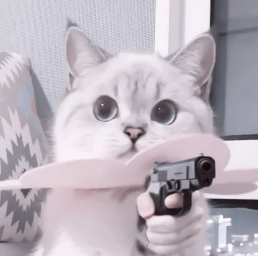 кошки малого и среднего размера кошачьи кошка