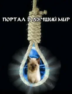 Sticker мужики сосатб - 0