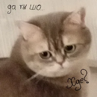 Sticker Шейлочка💗 - 4