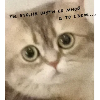 Sticker Шейлочка💗 - 5