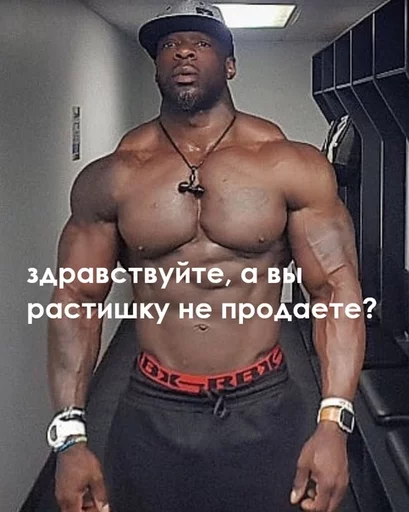 мышца Человек грудь