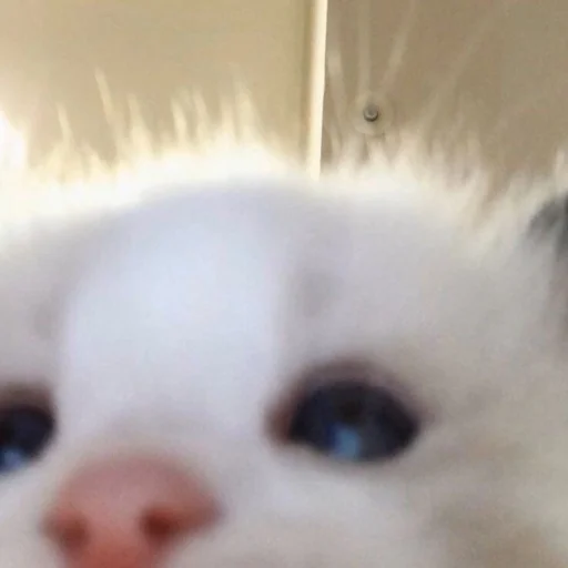 Sticker myluvf0ru - 1