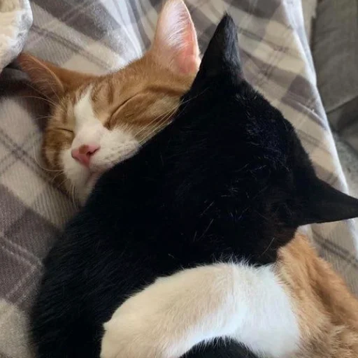 Sticker myluvf0ru - 1