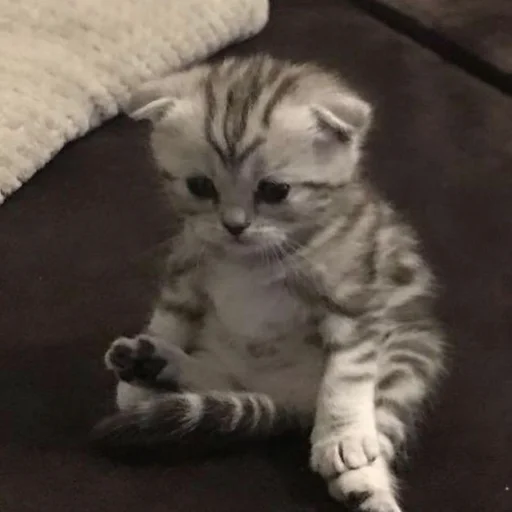 Sticker myluvf0ru - 1