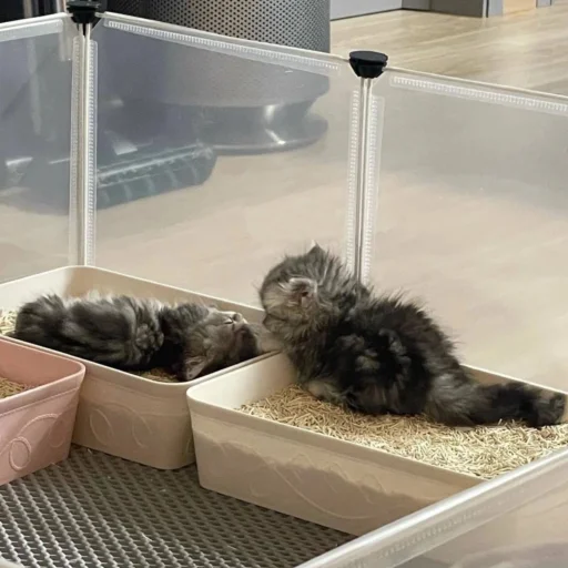 Стикер myluvf0ru - 1