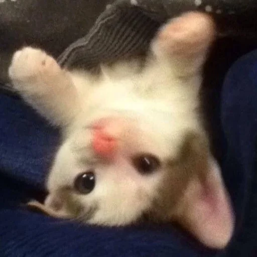 Стикер myluvf0ru - 1