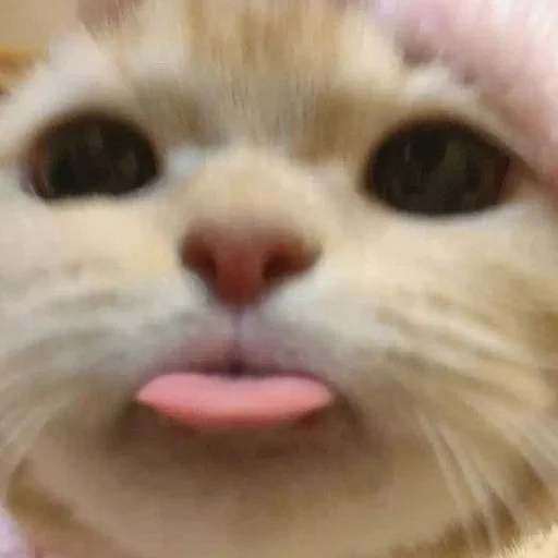 Sticker myluvf0ru - 1